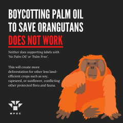 potv-palm-facts-2