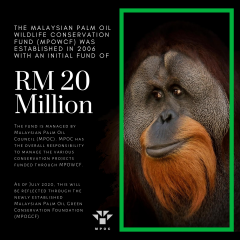 potv-palm-facts-3