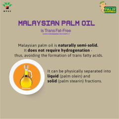 Poster-Palm-Facts-Batch-1-MPOFOG_8