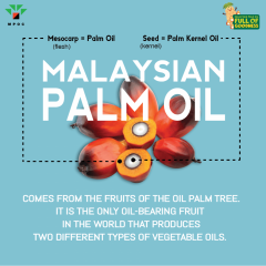 Poster-Palm-Facts-Batch-2-MPOFOG_6