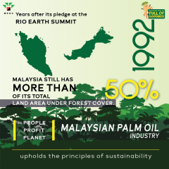 Poster-Palm-Facts-Batch-6-MPOFOG_10