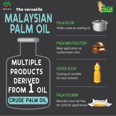 Poster-Palm-Facts-Batch-6-MPOFOG_3