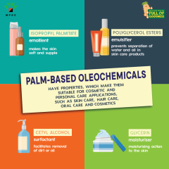 Poster-Palm-Facts-Batch-6-MPOFOG_5