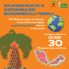 Poster-Palm-Facts-Batch-7-MPOFOG_1