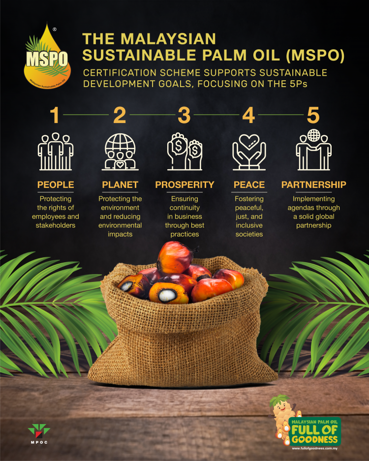 Malaysian Sustainable Palm Oil (MSPO) – Palmoil TV